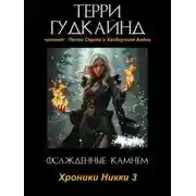 Постер книги Осаждённые камнем