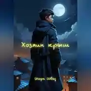 Постер книги Хозяин крыш