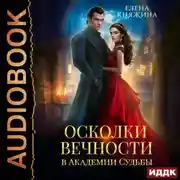 Постер книги Осколки вечности в Академии Судьбы