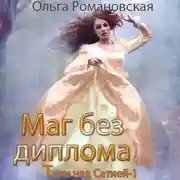 Постер книги Маг без диплома