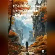 Постер книги Прелести жизни книга третья смысл жизни том-4