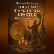 Постер книги Система шаманских практик: Путь Трансформации