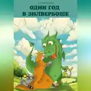 Постер книги Один год в Зилвербоше