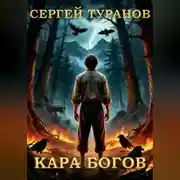 Постер книги Кара богов
