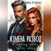 Постер книги Измена. Развод: Я осколки твоих чувств соберу