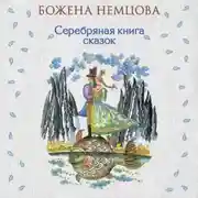 Постер книги Серебряная книга сказок