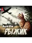 Андрей Штин - Рыжик