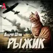 Постер книги Рыжик