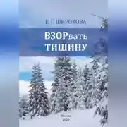 Постер книги ВЗОРвать тишину