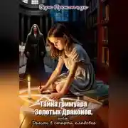 Постер книги Тайна гримуара Золотых Драконов, или Демон в старой кладовке