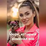 Постер книги Йорк,который изменил все