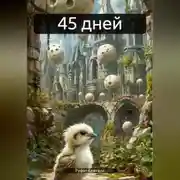 Постер книги 45 дней
