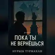 Постер книги Пока ты не вернешься