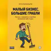 Постер книги Малый бизнес, большие грабли