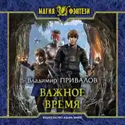 Постер книги Важное время