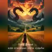 Постер книги Путь домой или огненные нити судьбы