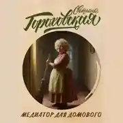 Постер книги Медиатор для домового