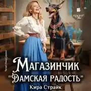 Постер книги Магазинчик «Дамская радость»