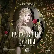 Постер книги Истлевшие руины. Эпоха зеркал