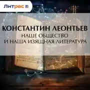 Постер книги Наше общество и наша изящная литература