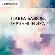 Постер книги Турчаниниха