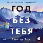 Постер книги Год без тебя