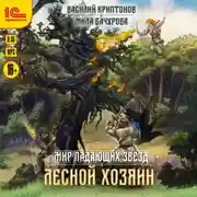 Постер книги Мир падающих звезд. Лесной хозяин