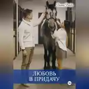 Постер книги Любовь в придачу