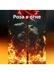 Даниил Ерохин - Роза в огне