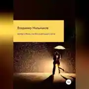 Постер книги Швабра и Веник, или Блюз в двенадцать тактов