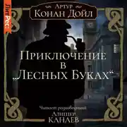 Постер книги Приключение в «Лесных Буках»
