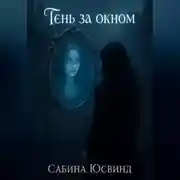 Постер книги Тень за окном