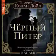 Постер книги Черный Питер