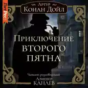 Постер книги Приключение второго пятна