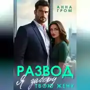 Постер книги Развод. Я заберу твою жену