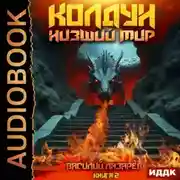 Постер книги Колдун. Книга 2. Низший мир