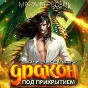 Постер книги Академия невест-попаданок и дракон под прикрытием