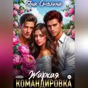 Постер книги Жаркая командировка