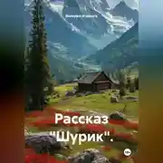 Постер книги Рассказ «Шурик».