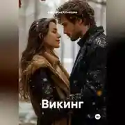 Постер книги Викинг