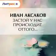 Постер книги Застой у нас происходит оттого…