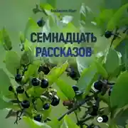 Постер книги Семнадцать рассказов