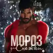 Постер книги Мороз для Снежки