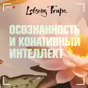 Постер книги Осознанность и конативный интеллект