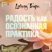 Постер книги Радость как осознанная практика