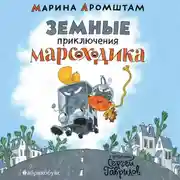 Постер книги Земные приключения Марсоходика