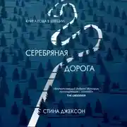 Постер книги Серебряная дорога