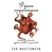 Постер книги Душа осьминога