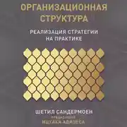 Постер книги Организационная структура: Реализация стратегии на практике