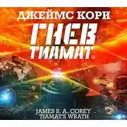 Постер книги Гнев Тиамат